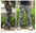 Outdoor Style Wear Men Cargo Pants